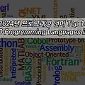 2024년 프로그래밍 언어 Top 10(Top 10 Programming Languages in 2024)