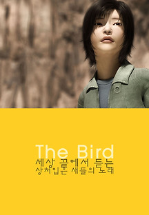 새 1963 무료 다시보기