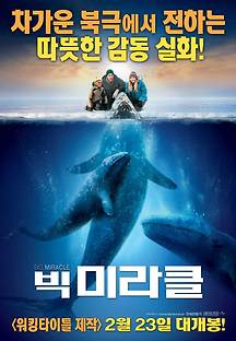 빅 미라클 2012 무료 다시보기