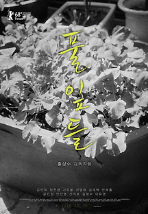 풀잎들 2018 무료 다시보기