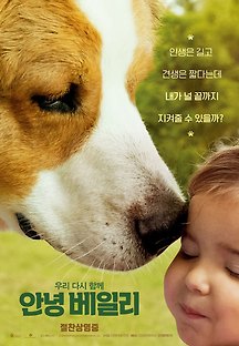 안녕 베일리 2019 무료 다시보기