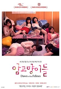 암고양이들 2016 무료 다시보기