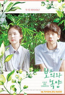 보희와 녹양 2018 무료 다시보기