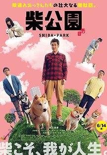 시바 공원 2019 무료 다시보기