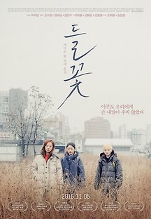 들꽃 2014 무료 다시보기