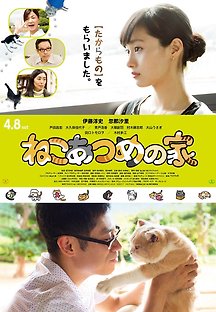 네코 아츠메의 집 2017 무료 다시보기