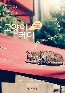 고양이 케디 2017 무료 다시보기