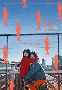 메기 2018 무료 다시보기