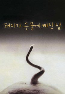 돼지가 우물에 빠진 날 1996 무료 다시보기