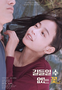 길들일 수 없는 꽃 2023 무료 다시보기
