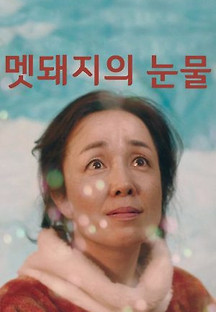 멧돼지의 눈물 2020 무료 다시보기