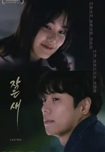 작은새 (2021) 무료 다시보기