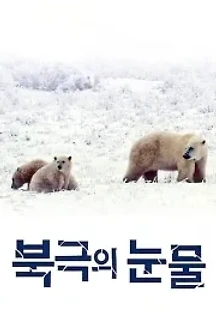 북극의 눈물 (2009) 무료 다시보기