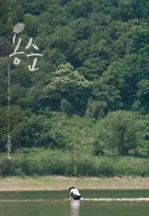 용순 (2017) 무료 다시보기
