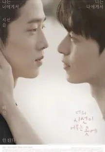 너의 시선이 머무는 곳에 (2020) 무료 다시보기