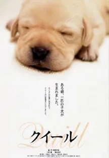퀼 (2004) 무료 다시보기
