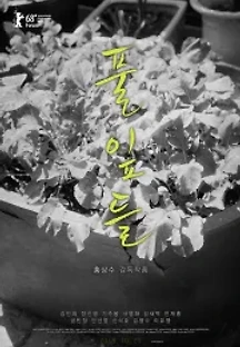 풀잎들 (2018) 무료 다시보기