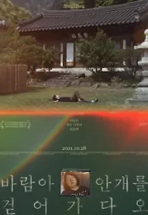 바람아 안개를 걷어가다오 (2021) 무료 다시보기