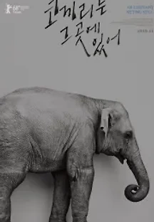 코끼리는 그 곳에 있어 (2018) 무료 다시보기