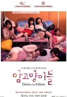 암고양이들 (2017) 무료 다시보기