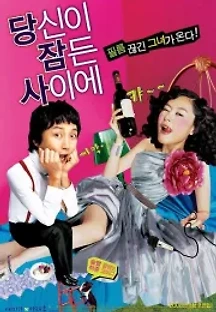 당신이 잠든 사이에 (2008) 무료 다시보기