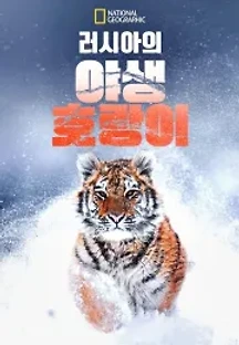 러시아의 야생 호랑이 (2022) 무료 다시보기