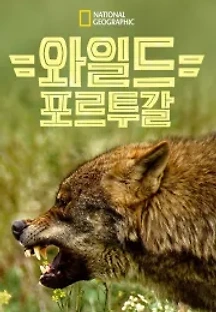 와일드 포르투갈 (2020) 무료 다시보기