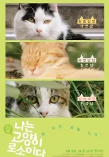 나는 고양이로소이다 (2017) 무료 다시보기