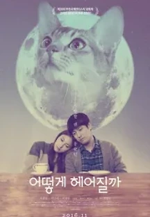 어떻게 헤어질까 (2016) 무료 다시보기