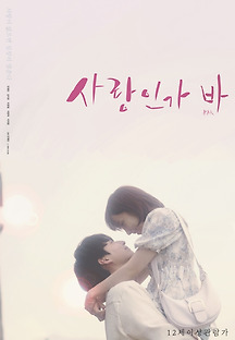 사랑인가 바 2021 무료 다시보기