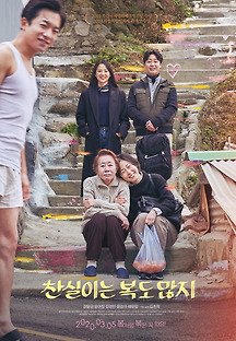 찬실이는 복도 많지 2019 무료 다시보기